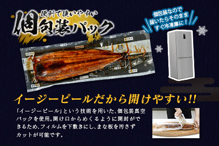 2026年9月配送 鰻楽 うなぎ蒲焼 3尾 C444-2609
