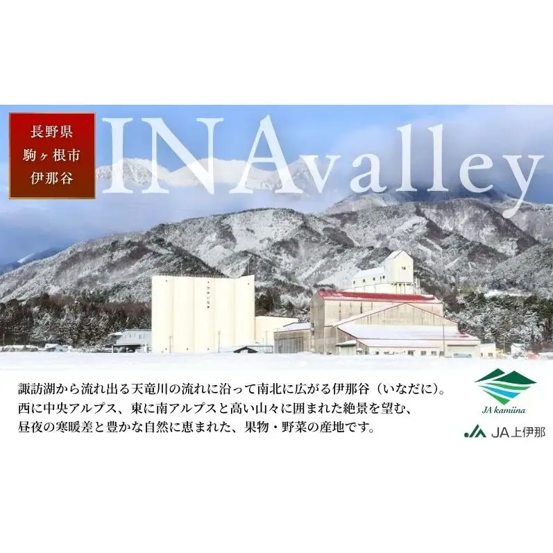 梨 訳あり 南水 4kg (8玉〜12玉)  梨
