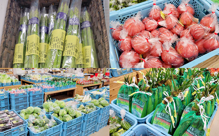 その時期の一番美味しいをお届け！ 竹田育ちの 「野菜詰め合わせセット」 A