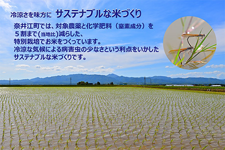 【新米予約】北海道奈井江町　特別栽培米　ゆめぴりか【無洗米】　5kg