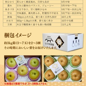 【ふるさと納税】＜梨 詰め合わせ 品種おまかせ 約3kg（3～7玉）和梨 ヒロの果樹園 ＞ なし fruit フレッシュ 旬 果物 くだもの 高知県 佐川町産【常温】＜2025年7月下旬～8月上旬以降発送＞