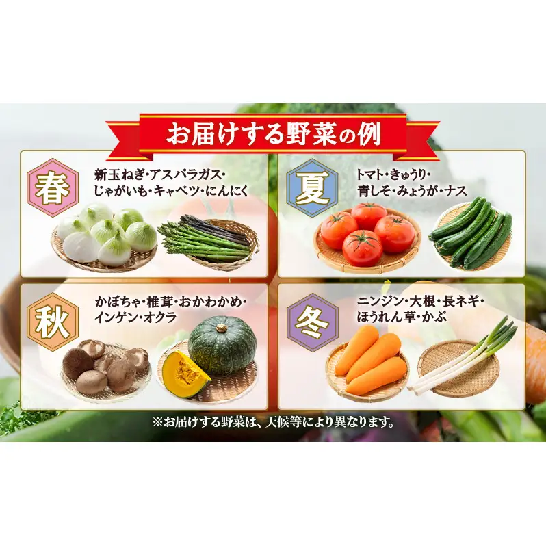 【館長おまかせ！】 南会津町 季節の野菜詰合せ セット 加工食品 