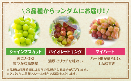 先行予約 ぶどう 2～4種 食べ比べパック 約300g×4 訳あり粒タイプ 福島県 田村市