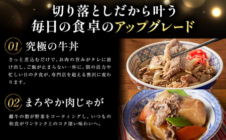 牛肉 肉 鹿児島県産北さつま 高崎牛 切り落とし肉 計3kg 1kg × 3ヶ月定期便 有限会社 太田家 《お申し込み翌月から出荷》 お肉 牛 切り落とし 牛丼 小分け 鹿児島県 さつま町