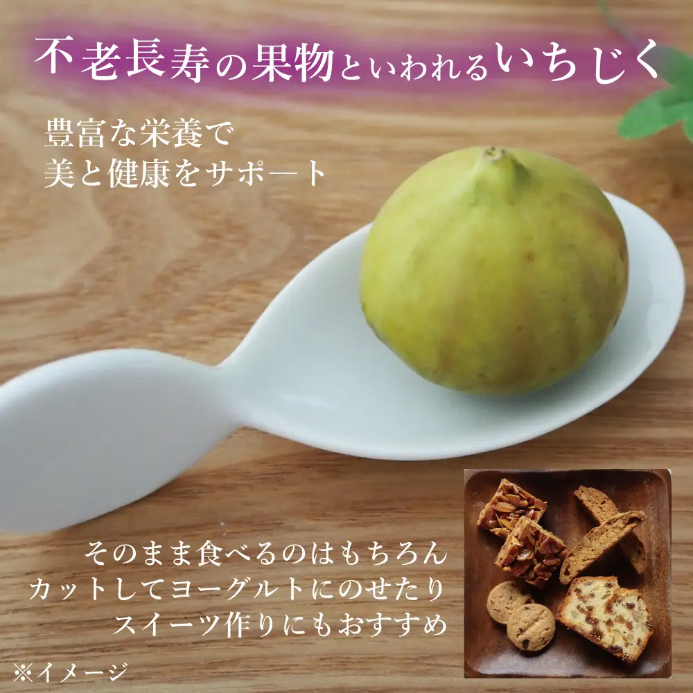 ＜2026年11月下旬発送＞福島県新地町産いちじくセミドライフルーツ　50g×2袋セット　合計100g