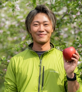 【2026年12月下旬発送】【家庭用】 りんご 約5kg サンふじ 青森県産 葉とらずりんご