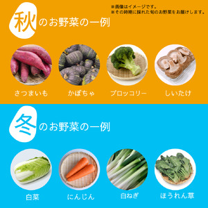 【12回定期便】旬のお野菜詰め合わせセット 卵 6個付 野菜