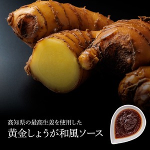 食べ比べ！完全天日塩仕込みハンバーグ3種各2個セット 特製デミグラス 黄金しょうがソース付き