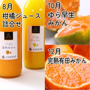 【定期便】厳選 柑橘定期便 M 6回（偶数月）※北海道・沖縄・離島への配送不可※偶数月に発送