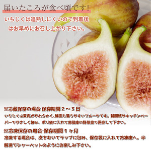 【2026年8月順次発送】朝採れ 完熟 いちじく 1.6kg (400g×4パック） いちじく