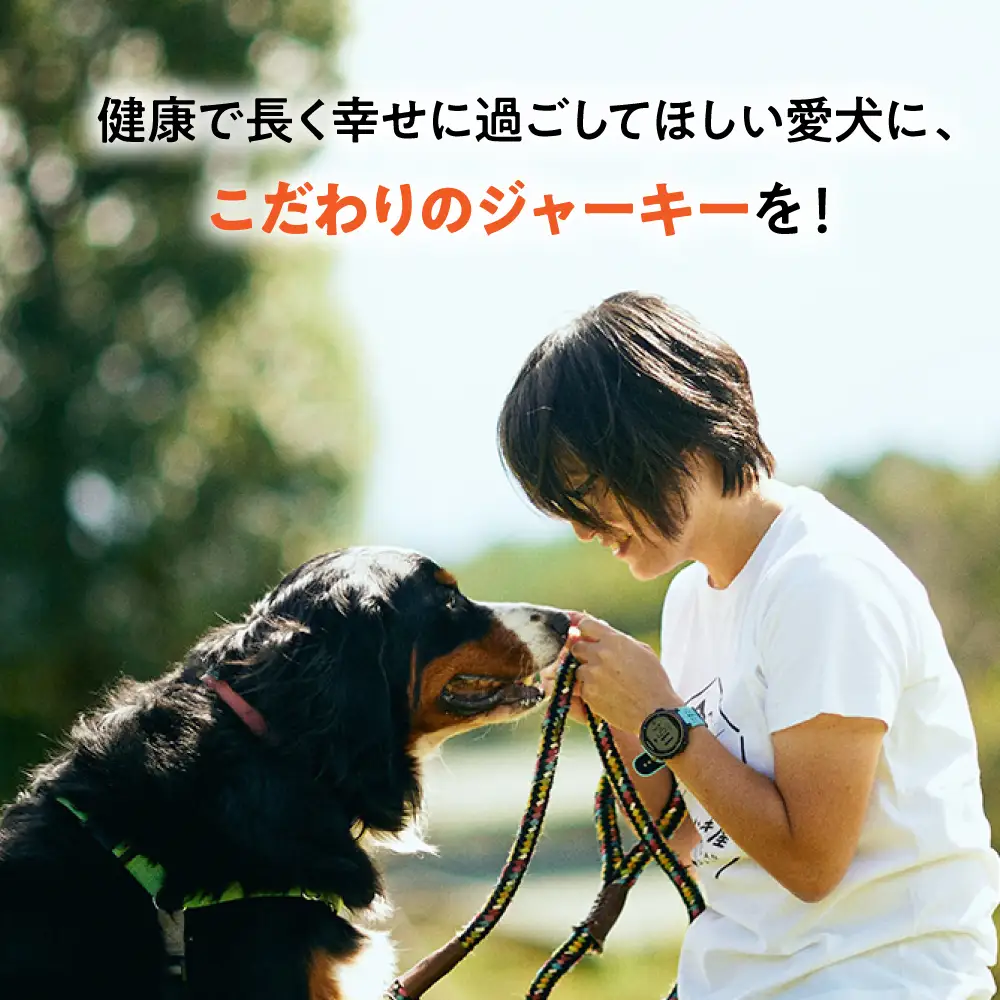 【ペット用おやつ】 《無添加》 鶏むね ジャーキー 20g×5個入り 多治見市 / こなき屋 国産 薄くてパリパリ 鶏むねジャーキー 犬用 おやつ[TEM004]