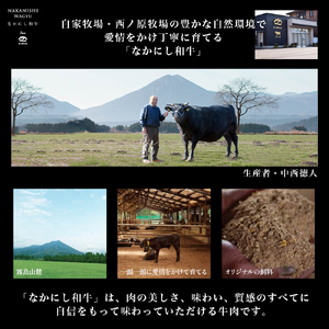 宮崎県西ノ原牧場・なかにし和牛霜降りしゃぶしゃぶロース 300g（国産 牛肉 肉 宮崎牛 黒毛和牛 お肉 しゃぶしゃぶ なかにし和牛 焼肉 人気 ロース 霜降り)