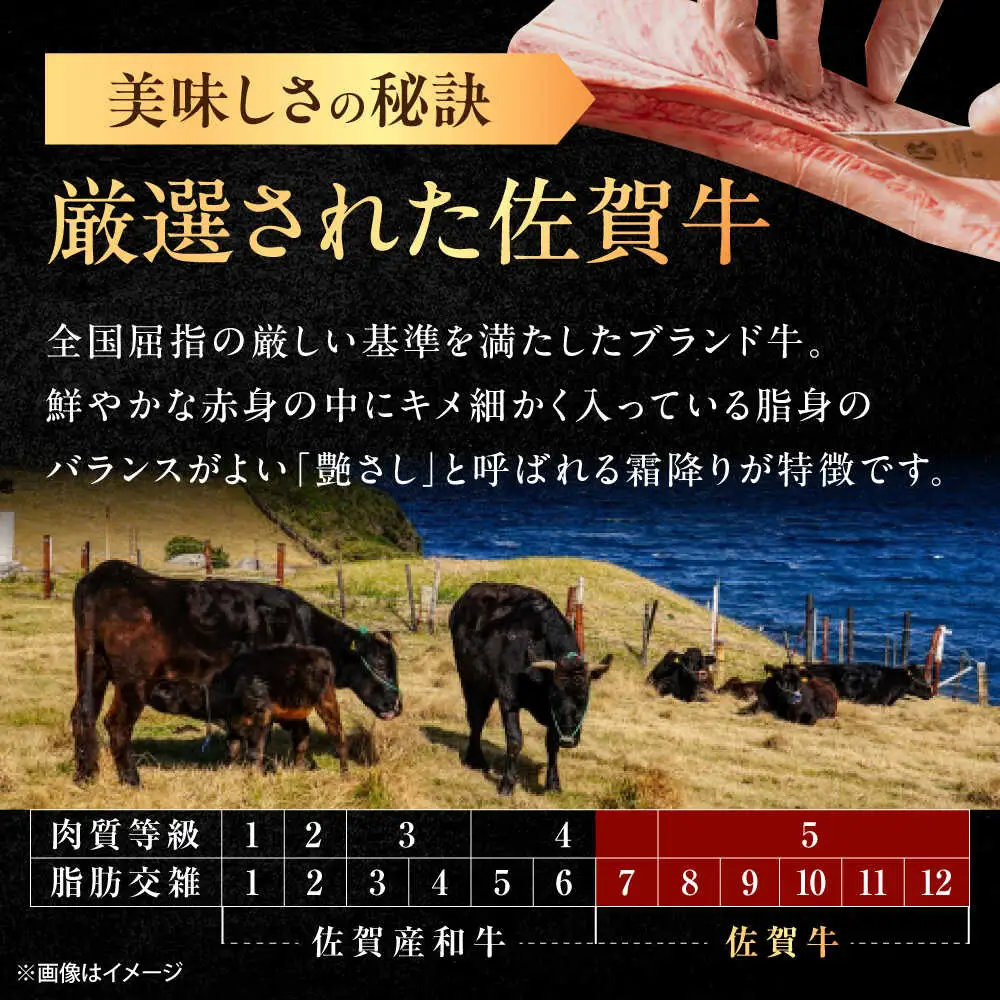 【3回定期便】佐賀牛 ロース 焼肉用 500g /MKミート武雄[UEM055] 焼肉
