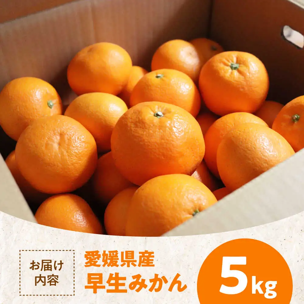 みかん【11月中旬から順次発送】温州みかん（早生）5kg みかん[AGAW016]