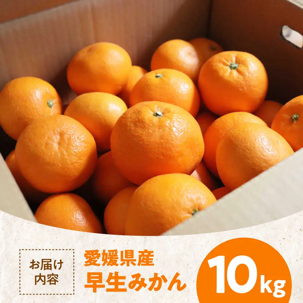 みかん【11月中旬から順次発送】温州みかん（早生）10kg みかん[AGAW017]