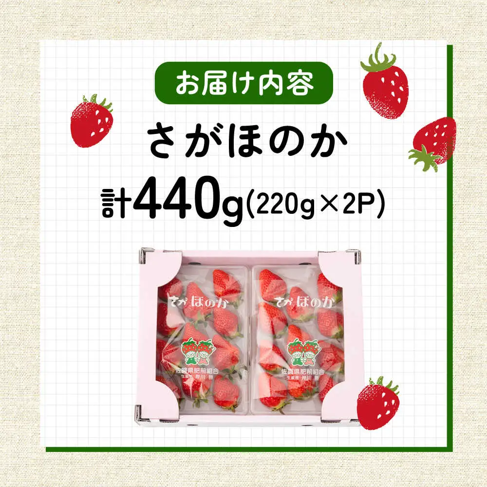 【2027年1月以降順次発送】白石産いちご「さがほのか」 220g×2パック / 佐賀県 いちご / 岸川農園 [41ASAG010]