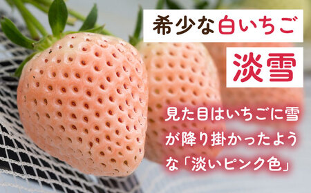 【2027年1月以降順次発送】淡雪・さがほのか 紅白いちごセット 220g×4パック / 苺 果物 フルーツ 白苺 / 佐賀県 / 岸川農園[41ASAG011]