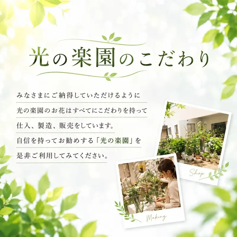 光の楽園 ウッドボックスウンベラータW1.8【配送不可：北海道・沖縄・離島】 インテリア 光触媒 人工植物 造花 フェイクグリーン 花 フラワー 清浄 消臭 浜松市