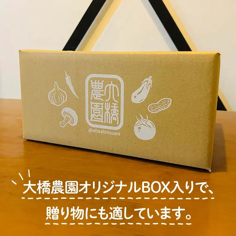 【2027年夏発送予約】生で食べられる白い宝石 中津川産プレミアム 純白とうもろこし おおもの白 4kgセット 朝採り 即日冷蔵発送 数量限定 F4N-2369