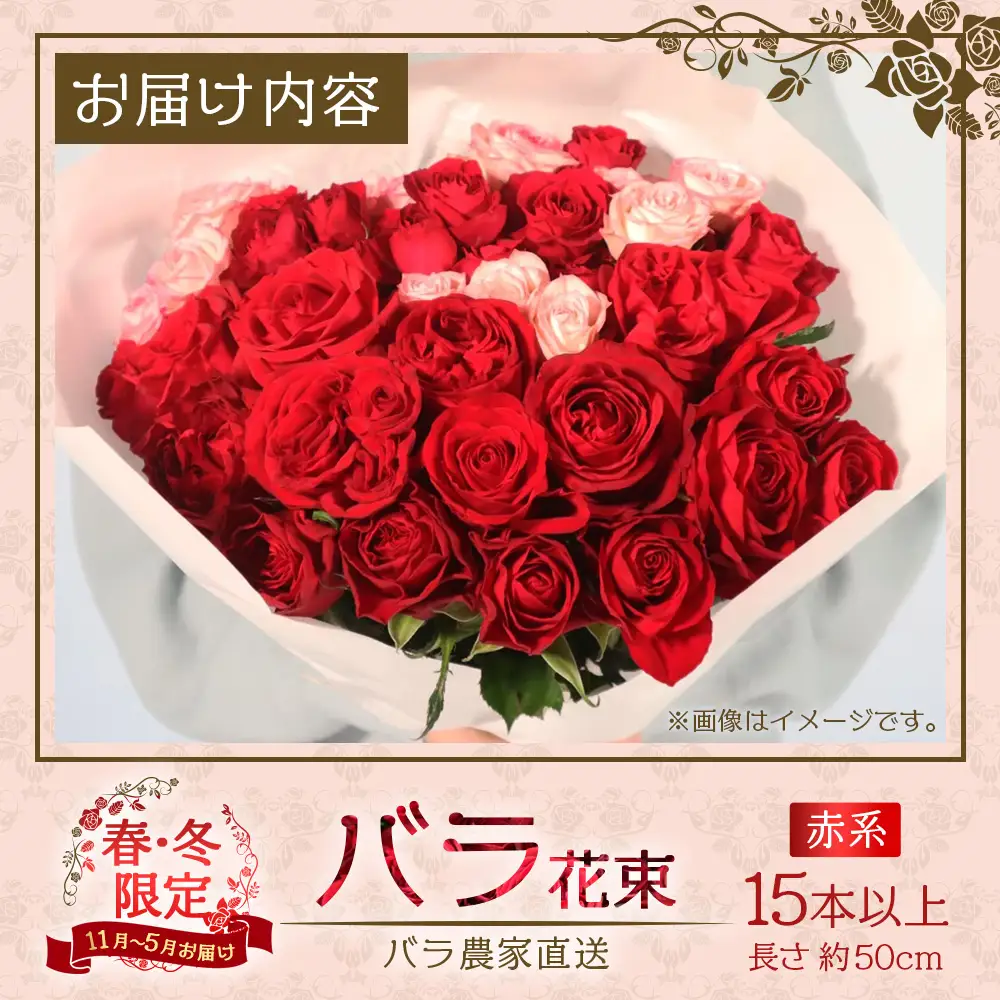 ※先行予約※【日付指定必須・ギフト対応可】ばら農家直送！人気の春・冬薔薇をお届け♪ バラ花束15本以上(赤系) TB-9│ローズ 新鮮 花 フラワー 花束 ばら 薔薇 バラ 誕生日 記念日 結婚祝い ギフト プレゼント お祝い 贈り物 贈答 鹿児島県 南大隅町 富田バラ園
