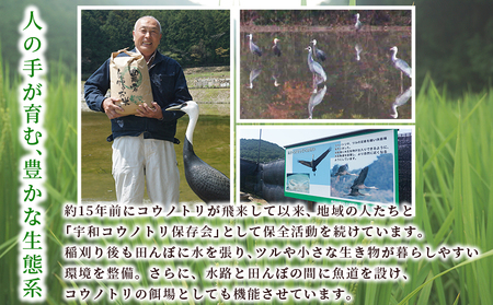 【追加受付開始】新米 ＜令和8年産 コシヒカリ 約10kg 西予市宇和町産＞ 通常 白米 精米 楠さんの一等米相当 お米 ご飯 愛媛県 西予市【常温】『2026年9月上旬から順次出荷予定』 UKK0004