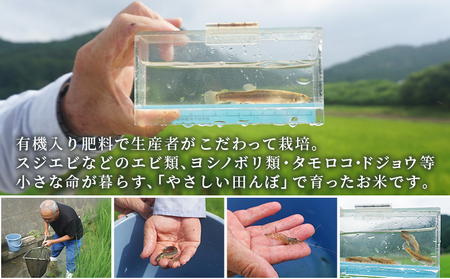 【第2弾 受付開始】新米 ＜令和8年産 コシヒカリ 約10kg×3回 温州みかん2kg×1回 西予市宇和町産＞ 白米 精米 楠さんの一等米相当 選べる 配送回数 お米 ご飯 愛媛県 西予市【常温】『2026年9月上旬から順次出荷予定』 UKK0007