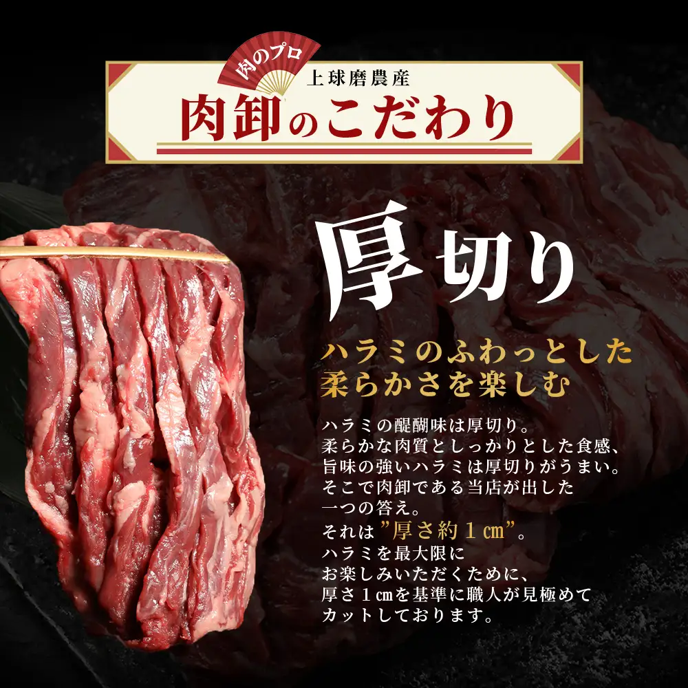 厚切り 牛 ハラミ ステーキ 500g 焼肉 軟化加工 067-0678