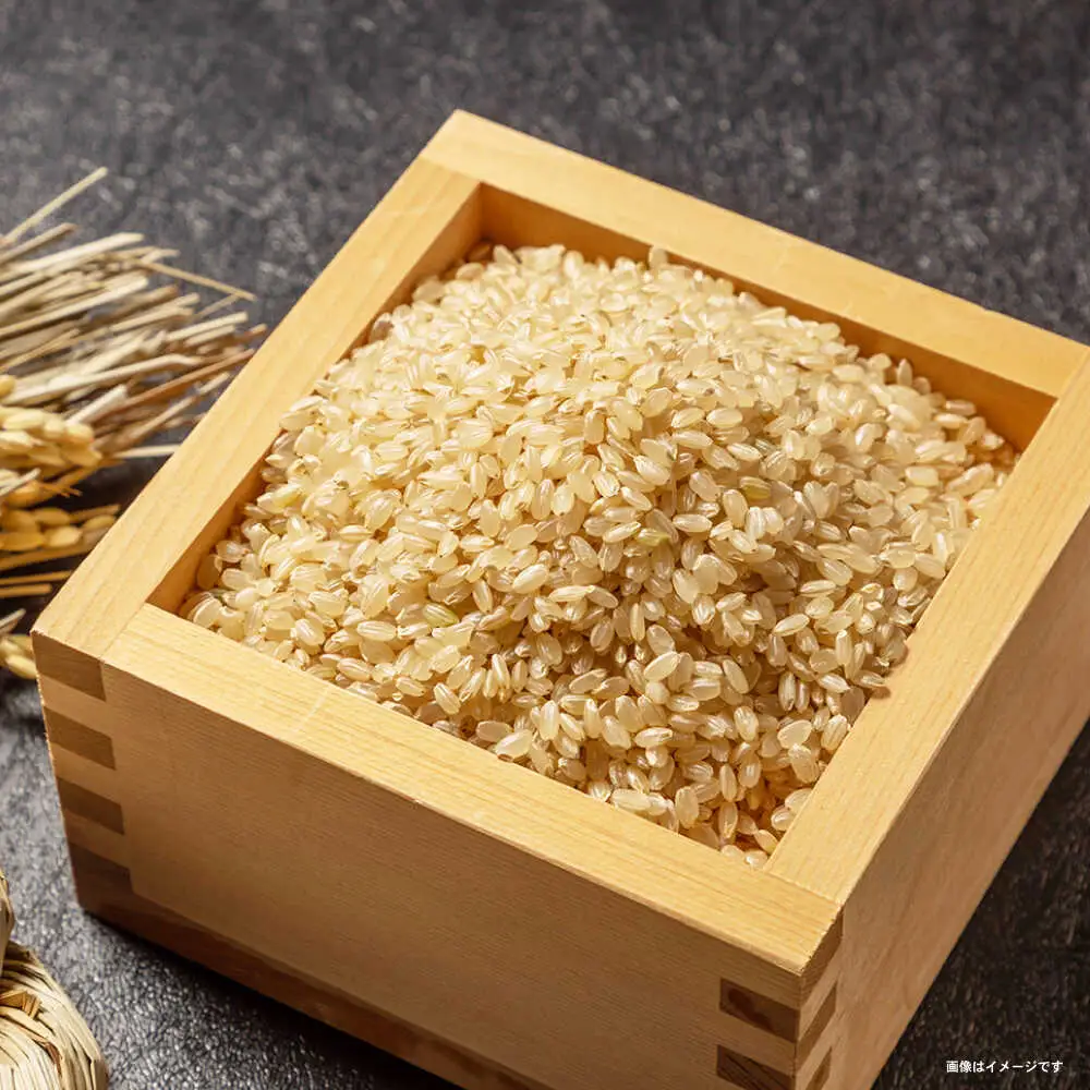 〈令和7年産新米〉【轟峡渓流米】玄米(にこまる) 玄米 新米 米 20kg / 諫早市 / 轟名水ファーム高来 [AHFF004]
