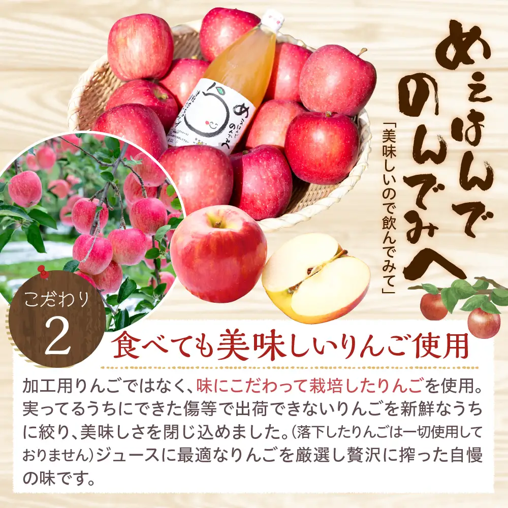 りんごジュース １L×2本【11月より順次発送】100％ストレート果汁 小林りんご農園