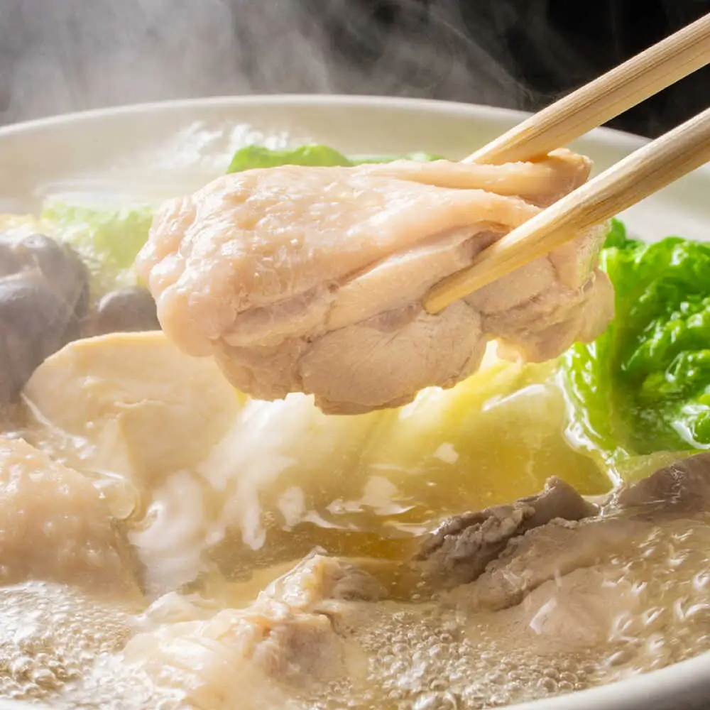 訳あり 博多水炊き 10人前セット [BGAB107] 水炊き 訳あり 人気