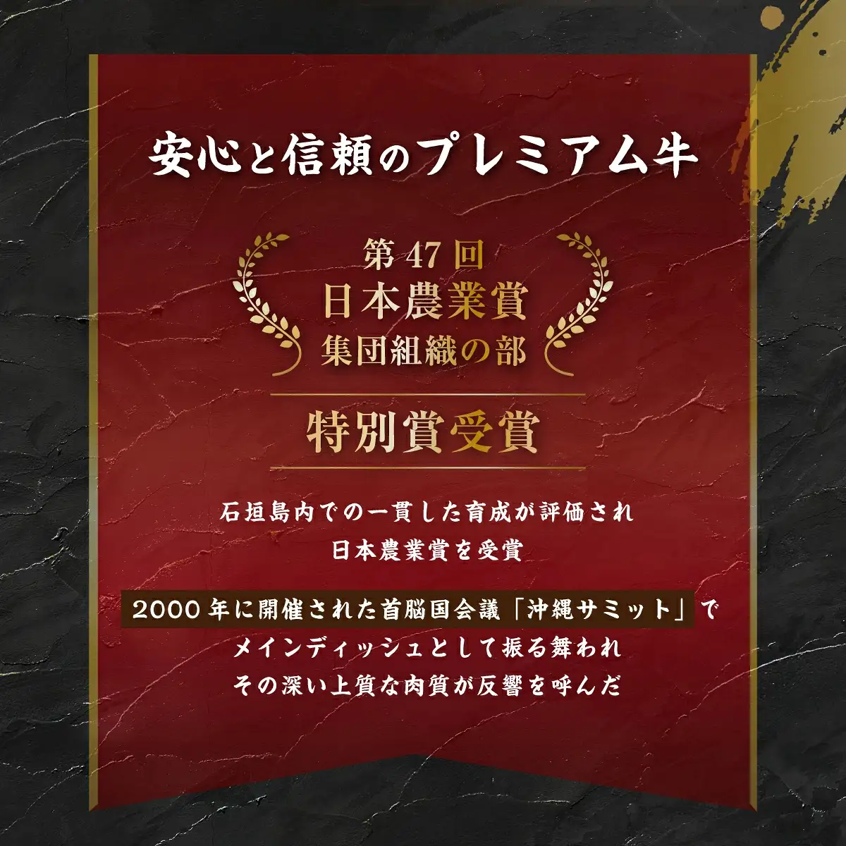 石垣牛 ハンバーグ セット (100g×10個)＜2026年11月発送＞