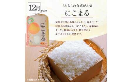 【令和8年産/予約受付】 樽井商店の仁井田米 5kg 3回お届け便(10月～12月) Sbti-Z03／お米 ヒノヒカリ にこまる