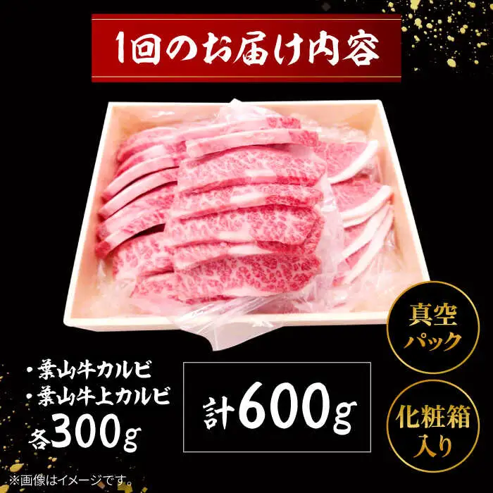 【全6回定期便】 葉山牛 上カルビ300gカルビ300g／ カルビ 上カルビ[ASAP051]