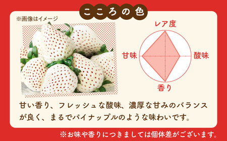 先行予約 2027年1月〜発送 こころの色×かおり野ミックス 紅白いちごセット 計440g / いちご [IBJ028]