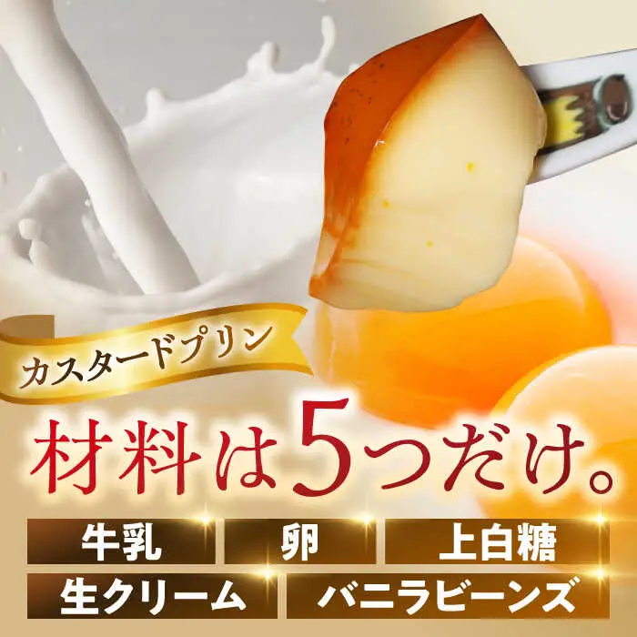【全3回定期便】極上のパーティープリン  ／ お菓子・スイーツ プリン[ASAY025]