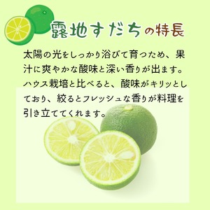【2026年8月中旬発送】すだち 1kg 露地栽培 徳島県 小松島産 スダチ すだち果汁 焼き魚 しいたけ お酒 柑橘 酢 旬