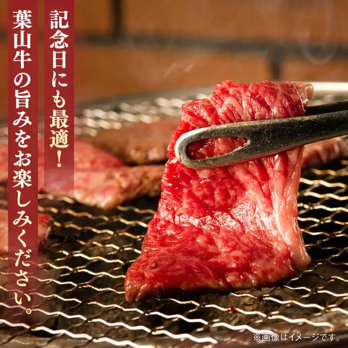 葉山牛 300g　ロース焼肉用 ／ 焼肉 [ASBD015]