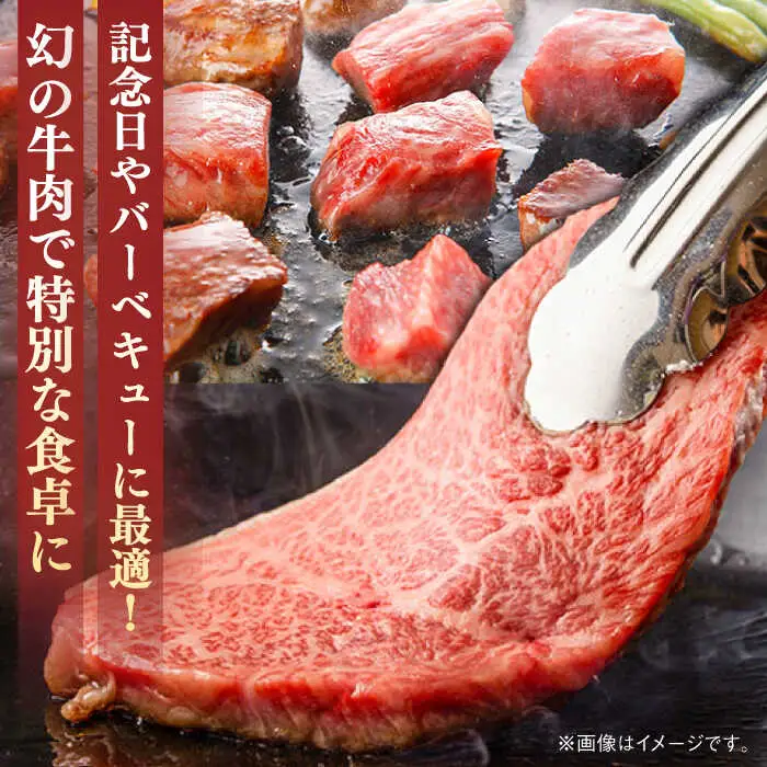 葉山牛 サーロインステーキ 250g×1枚 サーロイン [ASBD016]
