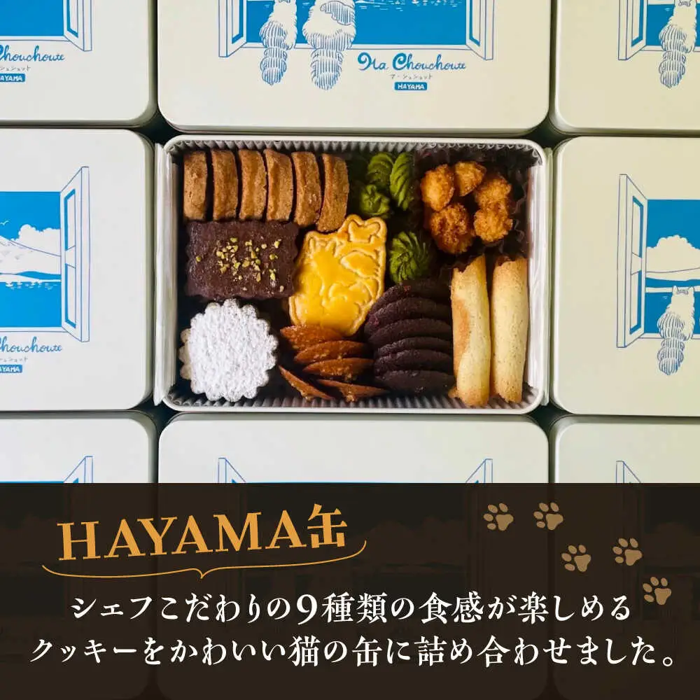 【全12回定期便】HAYAMA缶クッキー／ クッキー [ASBU011]