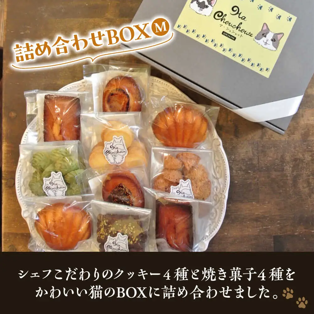 【全3回定期便】クッキー＆焼き菓子詰め合わせBOX M／ クッキー [ASBU012]