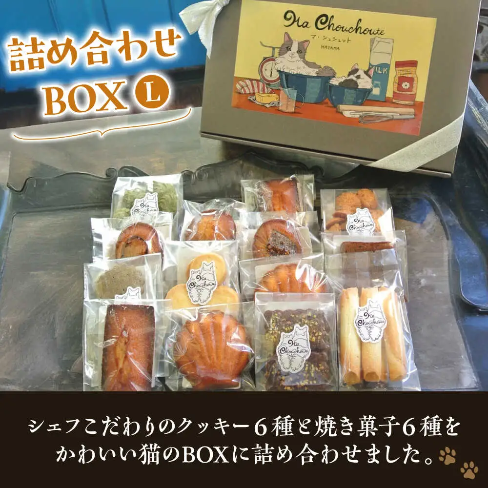【全6回定期便】クッキー＆焼き菓子詰め合わせBOX L／ クッキー [ASBU016]