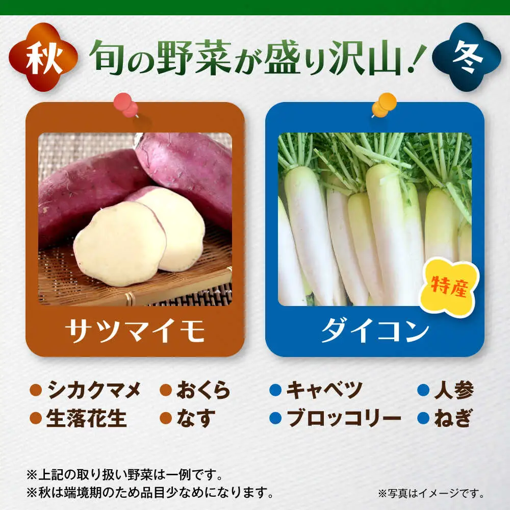 よこすか野菜セット すかなボックス／野菜 [ASCB001]