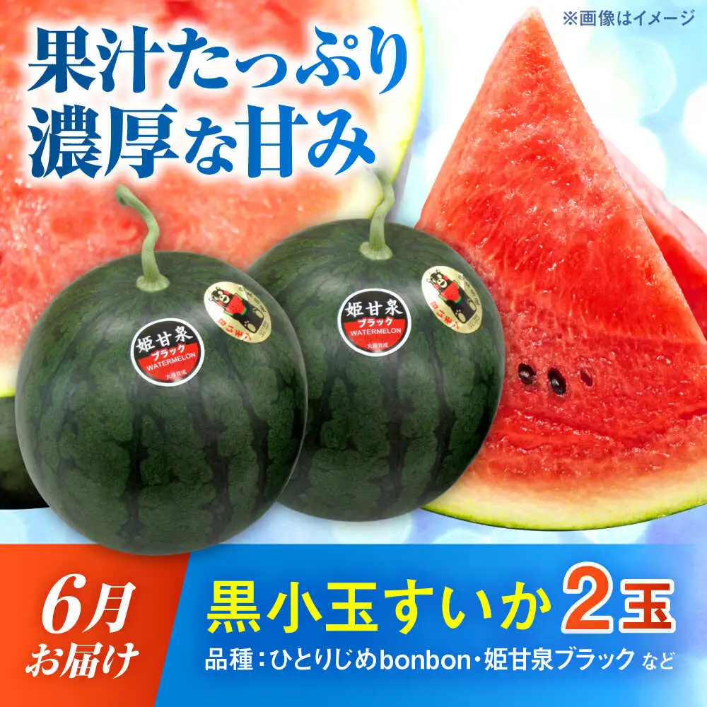 【先行予約】【2027年4月上旬より順次発送】【全3回定期便】すいか 3種 食べ比べ セット 定期便 計5玉（小玉2 大玉1 黒小玉2） スイカ[AYAB030]