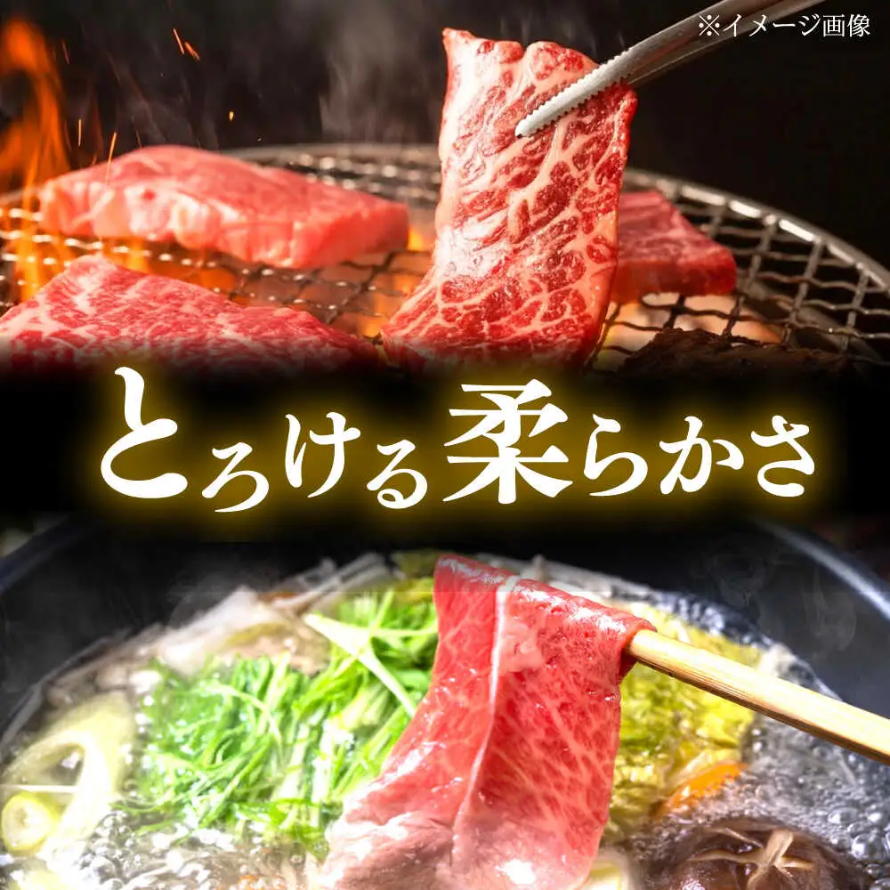 くまもと 黒毛和牛 和王 肩ロース セット（焼き肉用・しゃぶしゃぶ用） 計約800g（各1P）ロース 焼き肉 しゃぶしゃぶ [AYBR045]