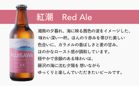 湘南クラフトビール 3種 飲み比べセット 地ビール｜クラフトビール 【BioChromato】