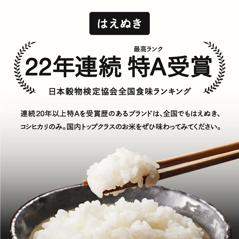 【先行予約】＜新米＞ はえぬき 精米 10kg 11月上旬~11月中旬発送 国産 お米 山形県産 山形産  おすすめ 5kg 2袋 10kg 米 5kg×2 5キロ 5きろ 10キロ 10きろ 令和8年産 2026年産 沖縄・離島への配送不可 コメ こめ はくまい 白米 tf-hasxb10-11f