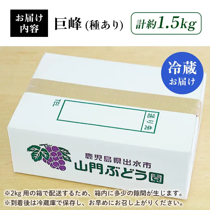 i1168 ≪数量・期間限定≫巨峰 (計約1.5kg) 国産 鹿児島 出水市 ぶどう ブドウ 果物 くだもの 巨峰 葡萄 旬 歯ごたえ 冷蔵 フルーツ グレープ 【山門ぶどう園】