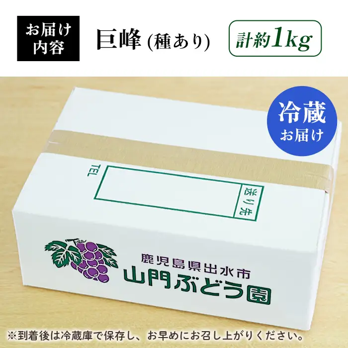 i1169 ≪数量・期間限定≫巨峰 (計約1kg) 国産 鹿児島 出水市 ぶどう ブドウ 果物 くだもの 巨峰 葡萄 旬 歯ごたえ 冷蔵 フルーツ グレープ 【山門ぶどう園】