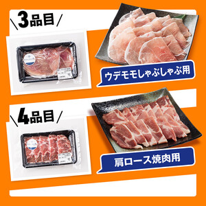【令和8年10月発送】【いろんな料理にアレンジできちゃう満喫コース】（精肉）さんきょうみらい豚満喫セット | 豚肉