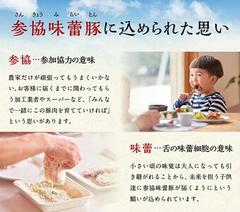 【令和8年10月発送分】合計104個！さんきょうみらい豚ぎょうざ(焼餃子＋水餃子)セット【 ふるさと納税餃子 ふるさと納税人気 ふるさと納税餃子 焼餃子 ぎょうざ  水ぎょうざ 】